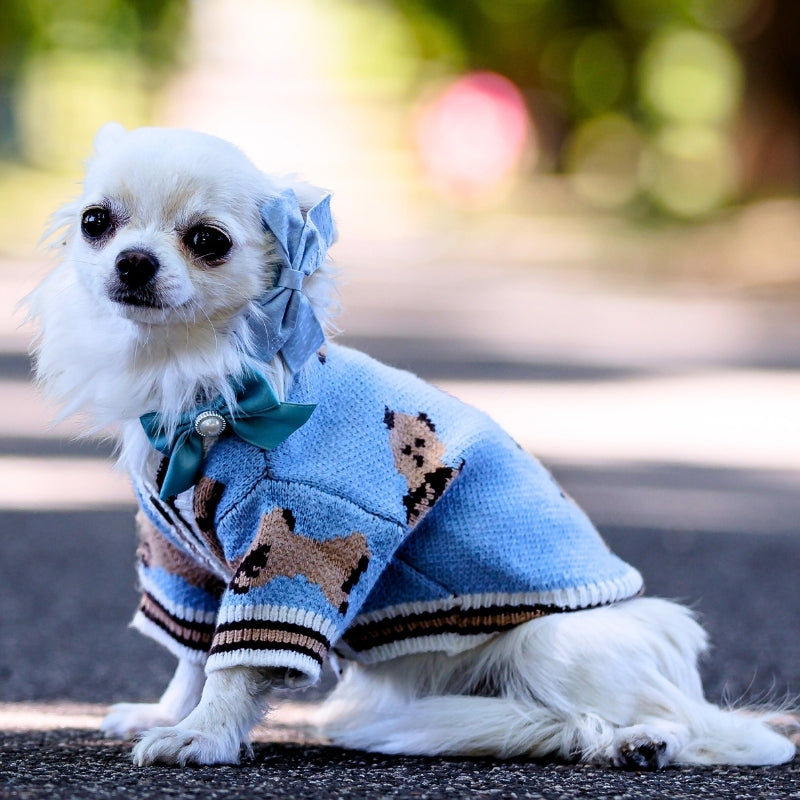 The Teddy Bear Sweater in Baby Blue